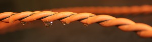 RLE's Fluid Sensing Cable